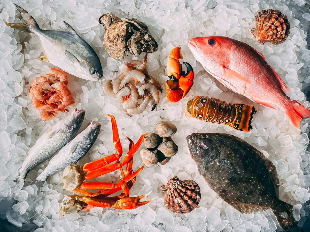 Seafood platter on ice